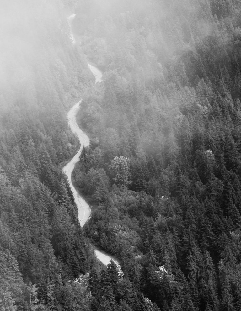Schwarzweißbild von einem Wald der von einer sich leicht schlängelnden Straße von unten nach oben durchquert wird. Es gibt etwas Nebel.